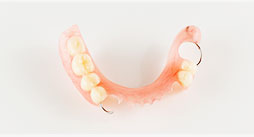 Partial Denture Repair